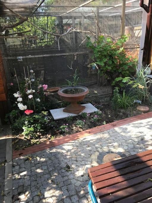 Unser Studio-Apartment "Wohlfuehloase" Oranienburg Bagian luar foto